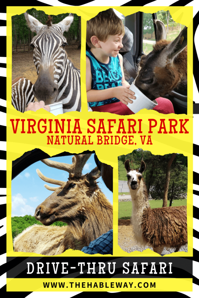 virginia safari park discount tickets